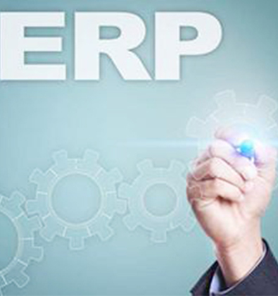 ERP、溯源雙系統