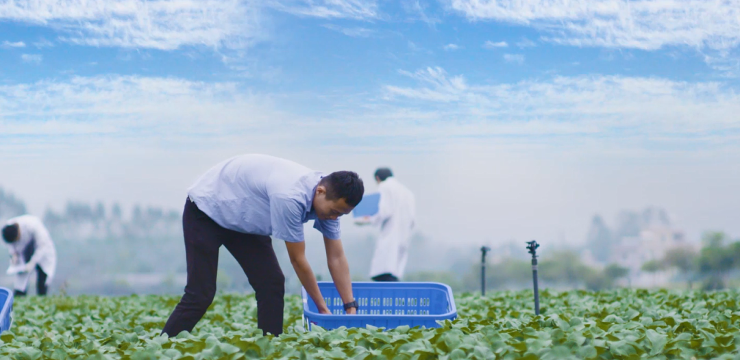一顆好蔬菜，要從源頭開始下功夫.png