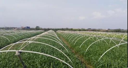 康來福河南分公司
