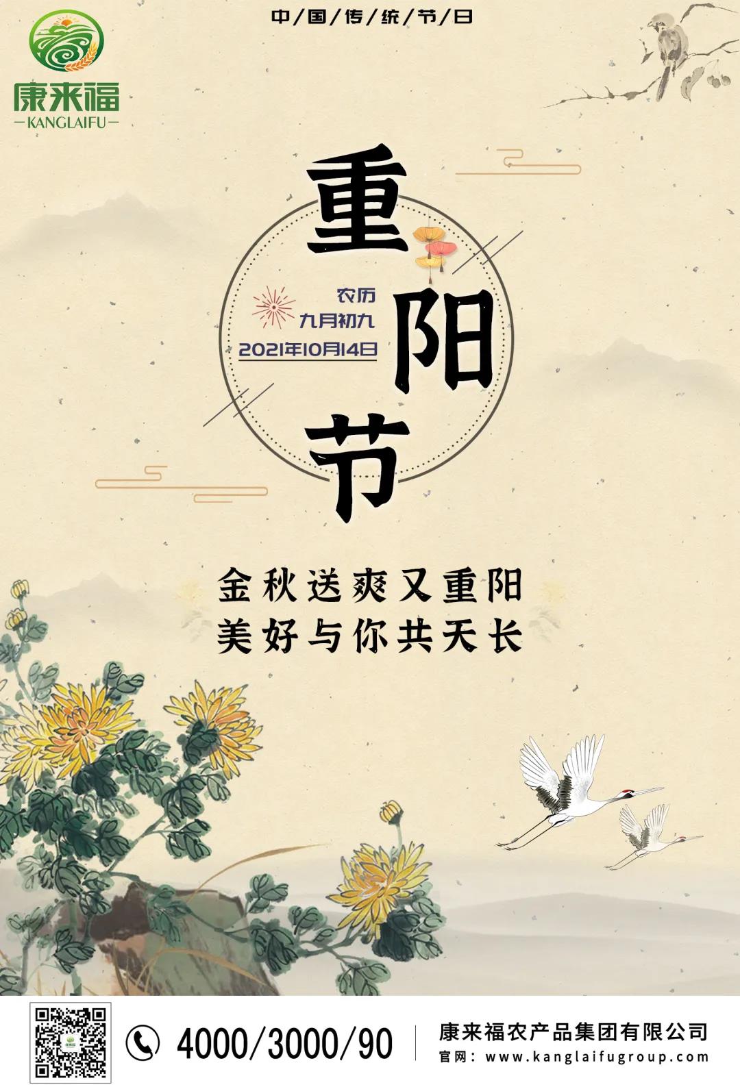 重陽節(jié)海報(bào).jpg
