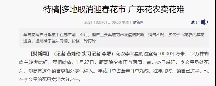 桃花新聞
