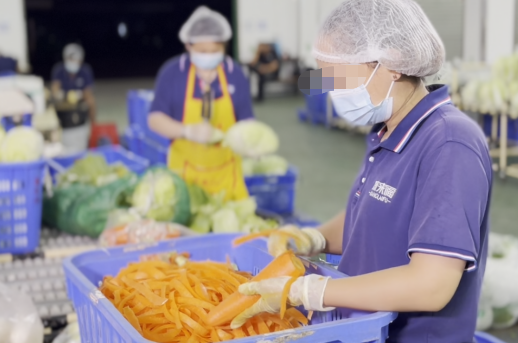 蔬菜粗加工規(guī)范都有哪些，加工配送如何避免食品污染？
