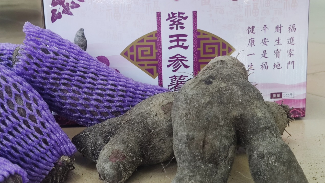 紫玉參薯.jpg